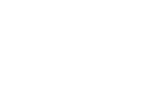 CV Prime